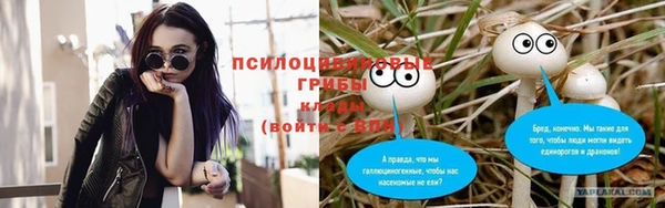 синтетический гашиш Богданович