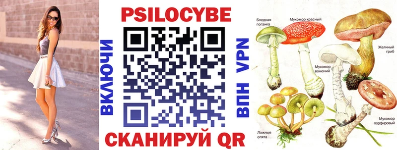 купить наркоту  Видное  Псилоцибиновые грибы прущие грибы 
