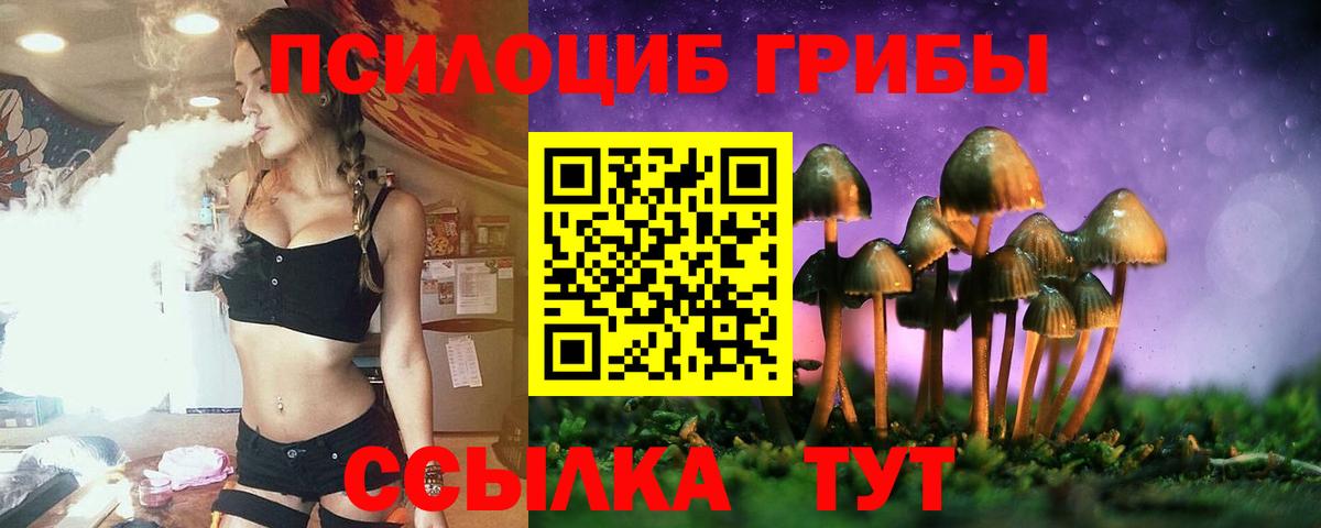 Псилоцибиновые грибы прущие грибы Видное