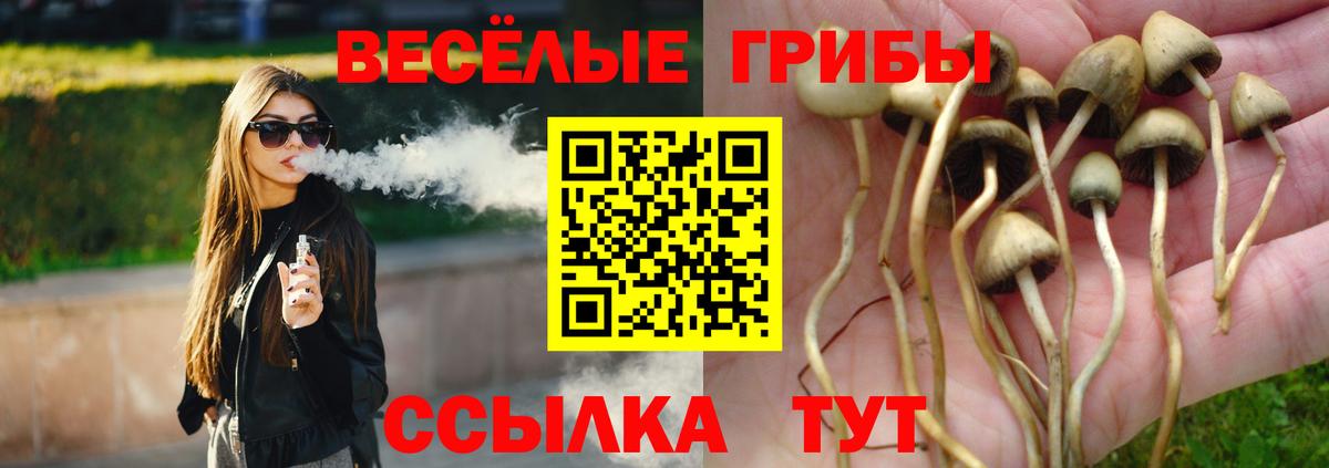 Видное  Псилоцибиновые грибы Cubensis  Вход с VPN 