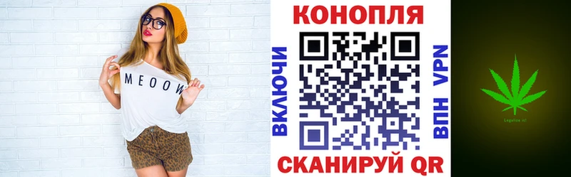 Канабис OG Kush Видное